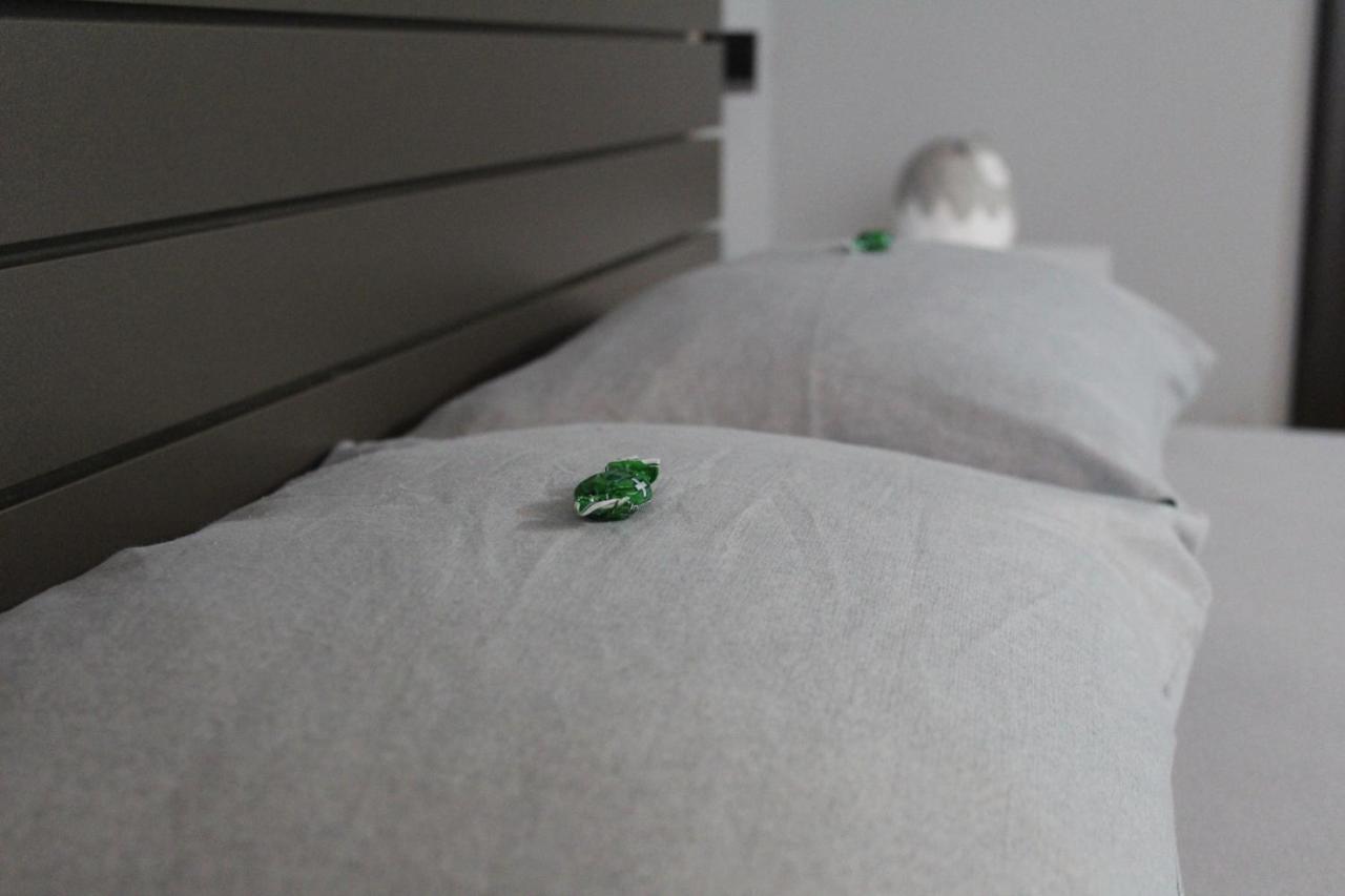 Apartman Daca Podgorica Exteriör bild